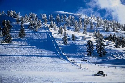 ΧΙΟΝΟΔΡΟΜΙΚΟ ΚΕΝΤΡΟ ΒΑΣΙΛΙΤΣΑΣ